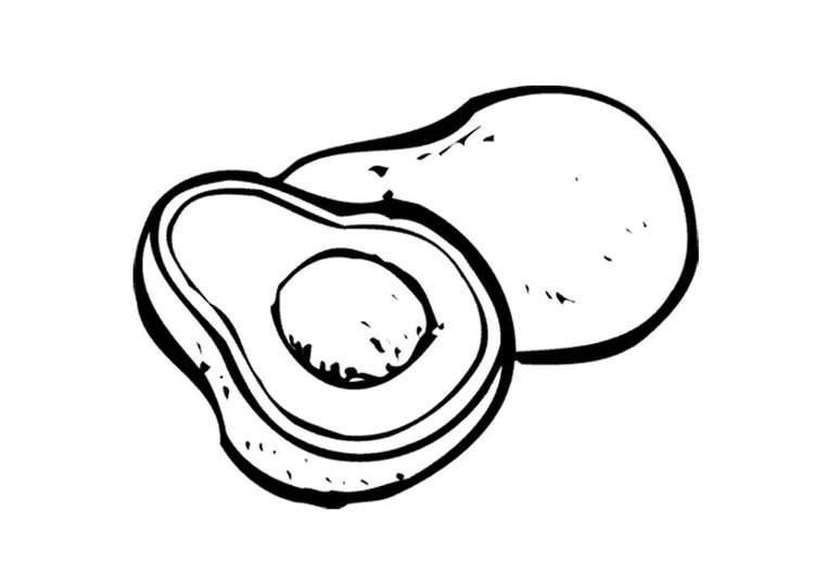 750x531 Avocado Drawing Basic For Free Download