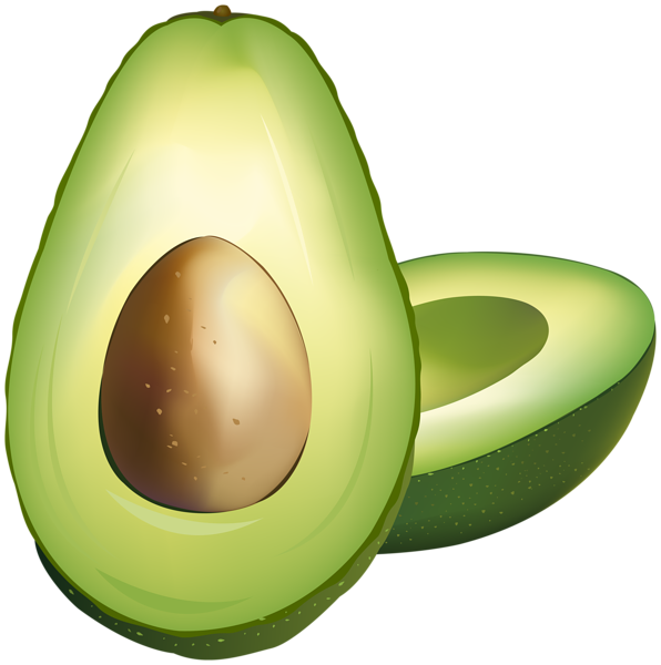 596x600 Collection Of Free Avocado Drawing Step By Download On Ui Ex