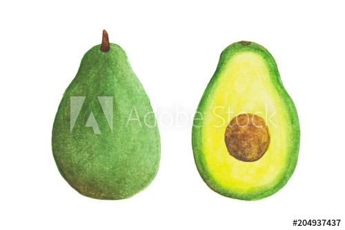 500x334 Sliced Green Watercolor Avocado Fruit Isolated On White Background