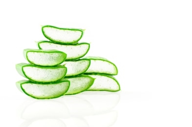 393x260 Avocado Drawing Easy