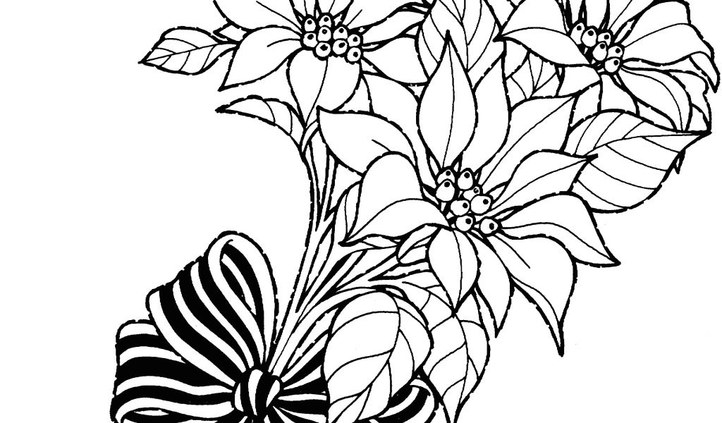 1024x600 Drawings Of White Roses Rose Drawing Fresh Awesome White Rose
