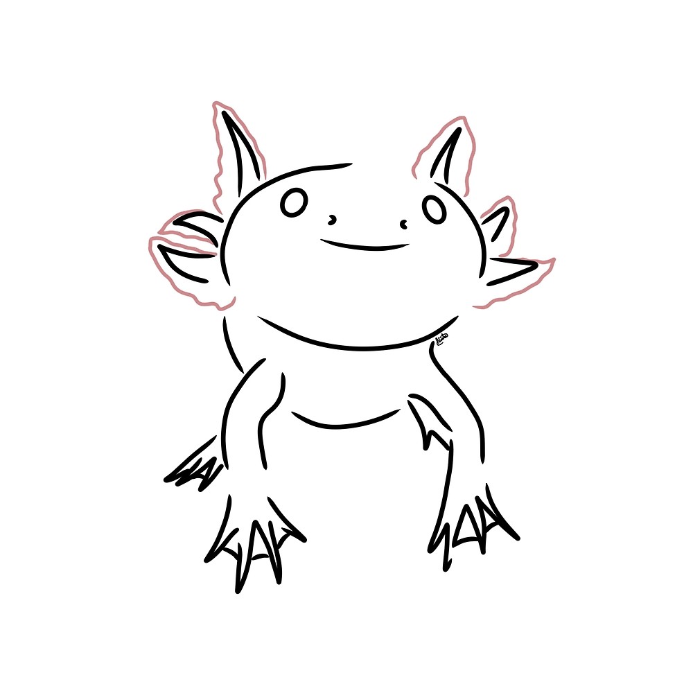 axolotl-drawing-outline