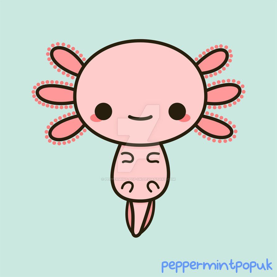 894x894 kawai axolotl
