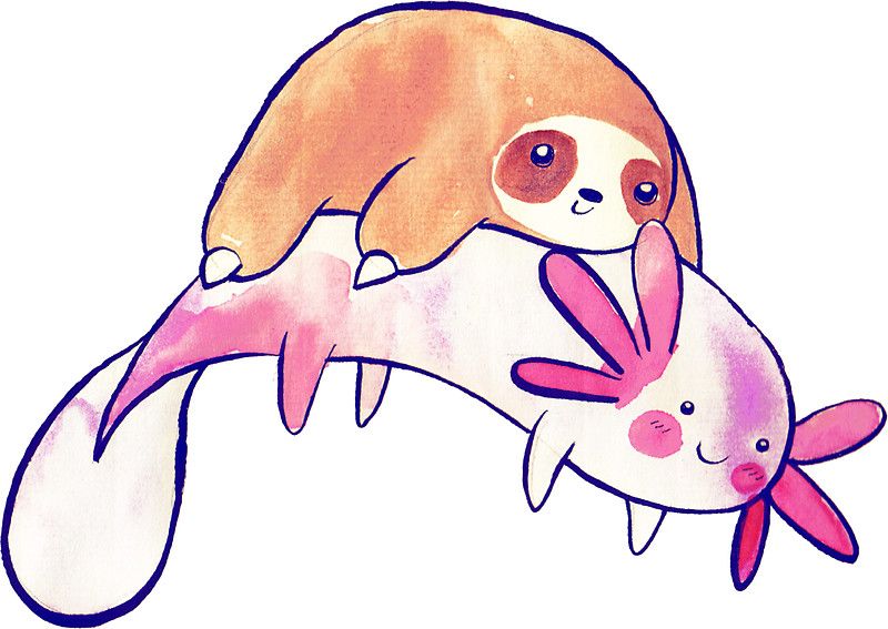 800x567 little sloth and big axolotl watercolor sticker in sloth
