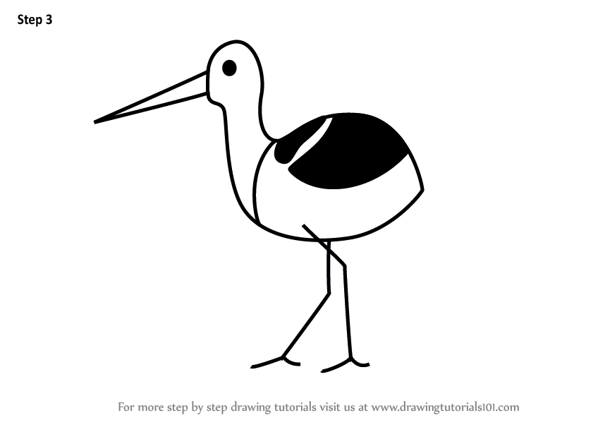 848x602 axolotl drawing bird for free download