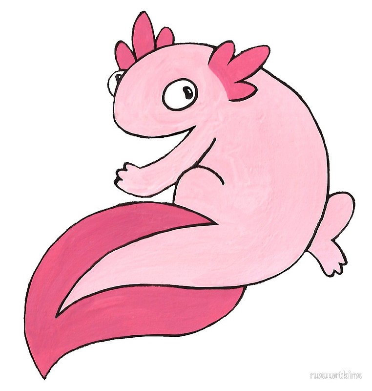 762x800 axolotl