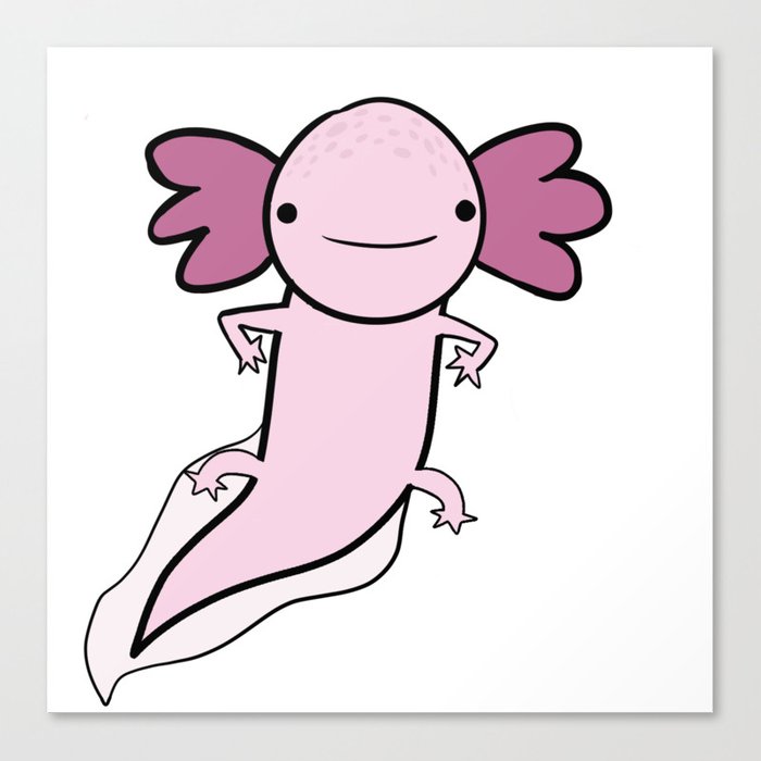 700x700 axolotl canvas print