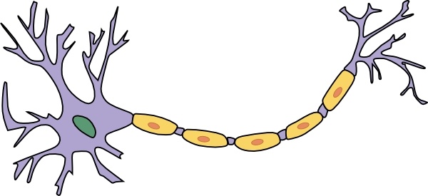 600x275 neuron with axon clip art free vector in open office drawing