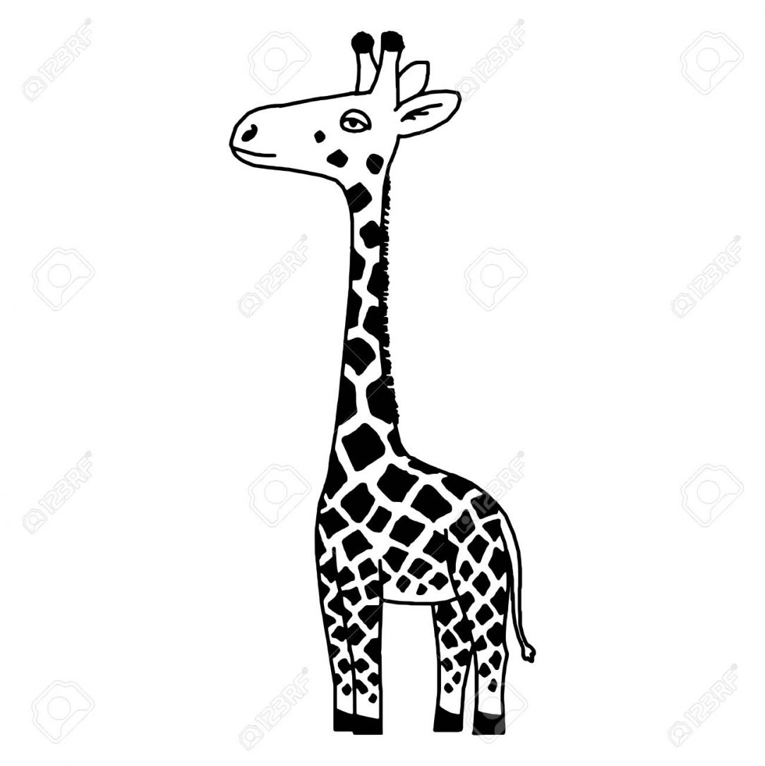 1084x1085 Giraffe Drawing Kid Outline Art Aztec Easy Abstract Pictures I