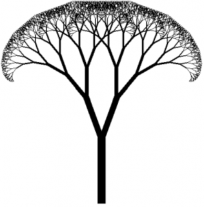 296x300 Drawing A Tree Workshop