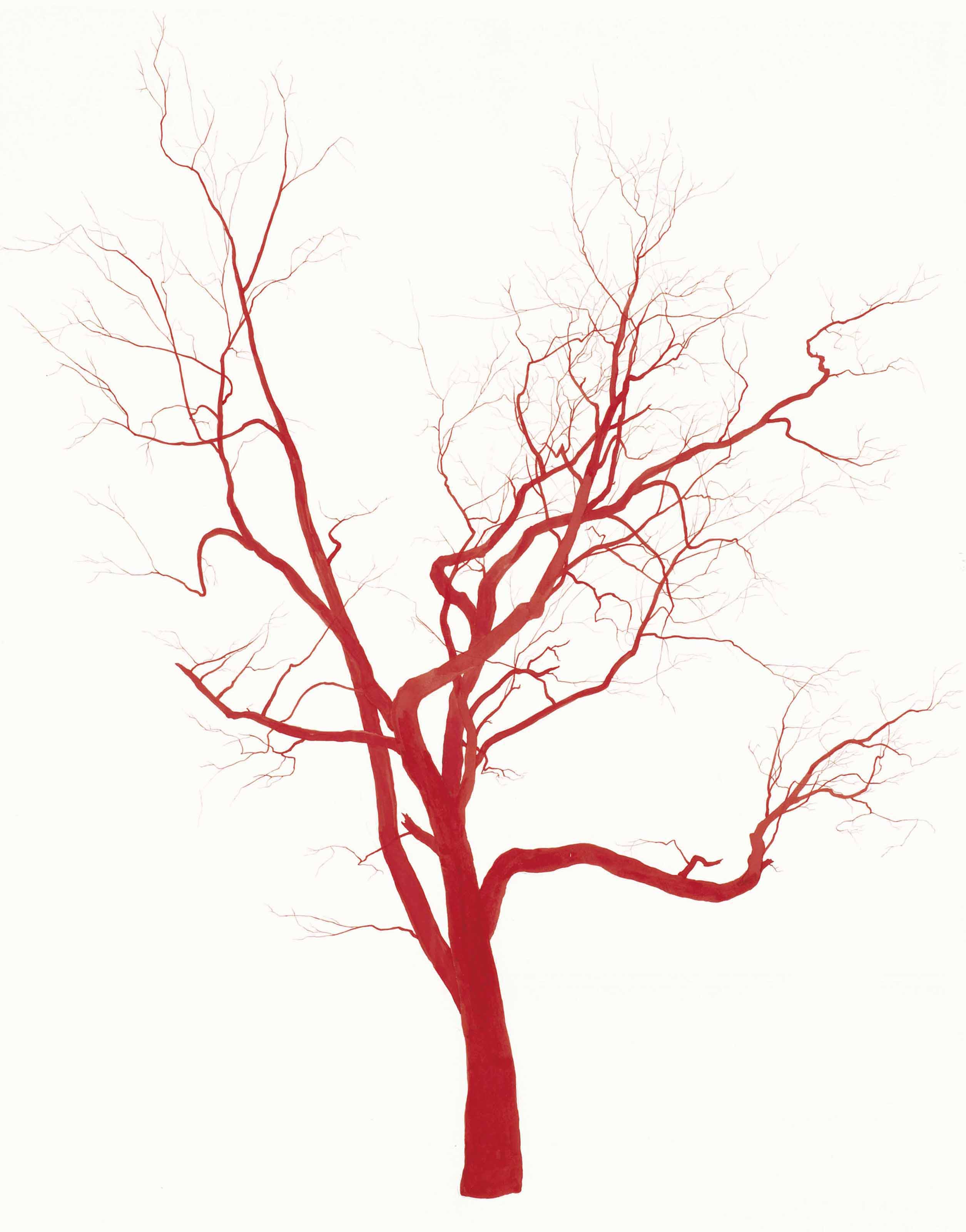 2510x3200 roxy paine