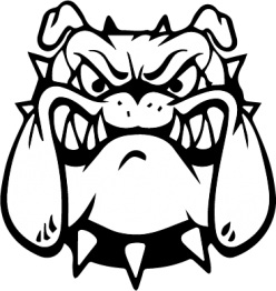 248x262 Elbert Babe Ruth Baseball Team Elbert, Colorado Parks