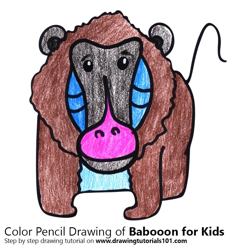 800x800 Learn How To Draw A Baboon For Kids