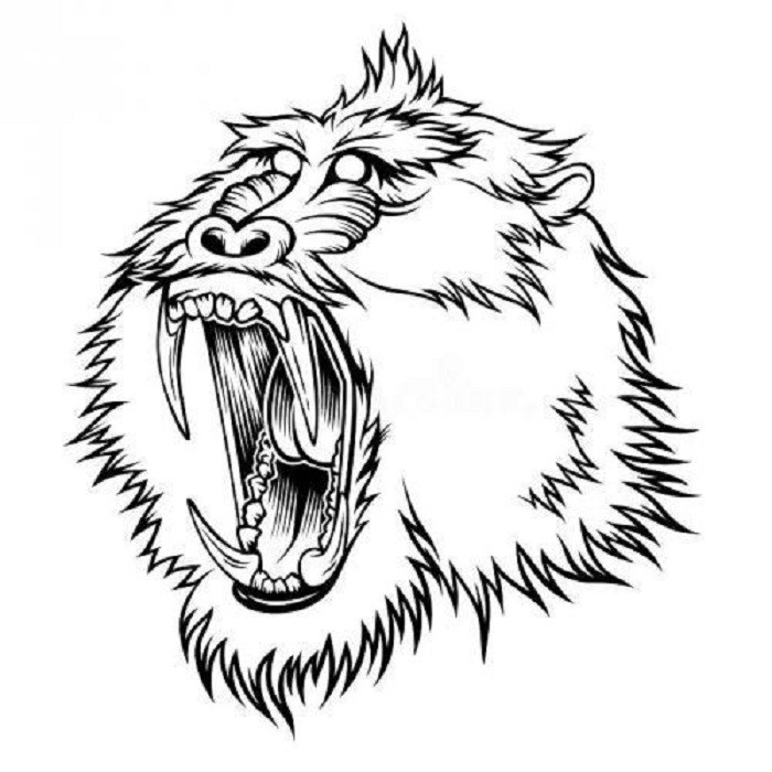 700x700 mandrill monkey baboon amee house