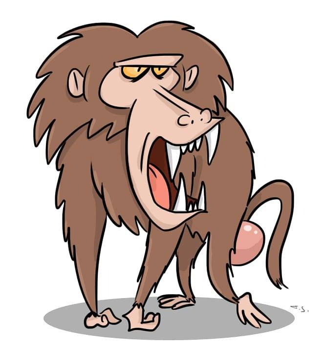 663x713 Thomas Spettel Simia Hamadrys Coloured In One Of My Doodles