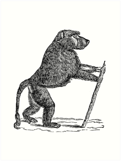 413x549 vintage mandrill baboon monkey illustration retro black