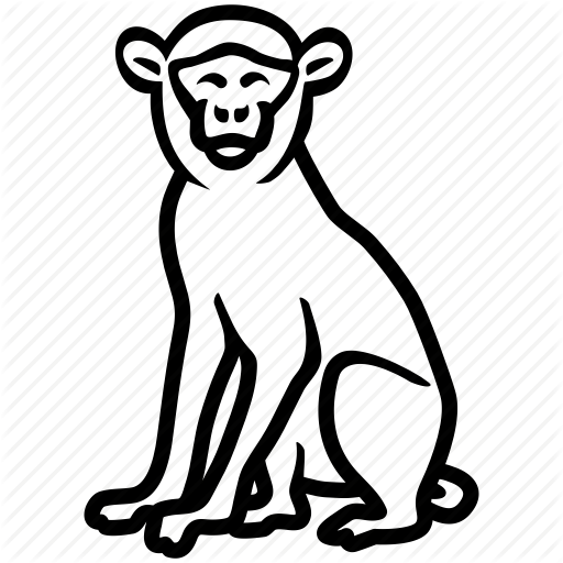 512x512 ape, baboon, macaque, monkey, primate icon