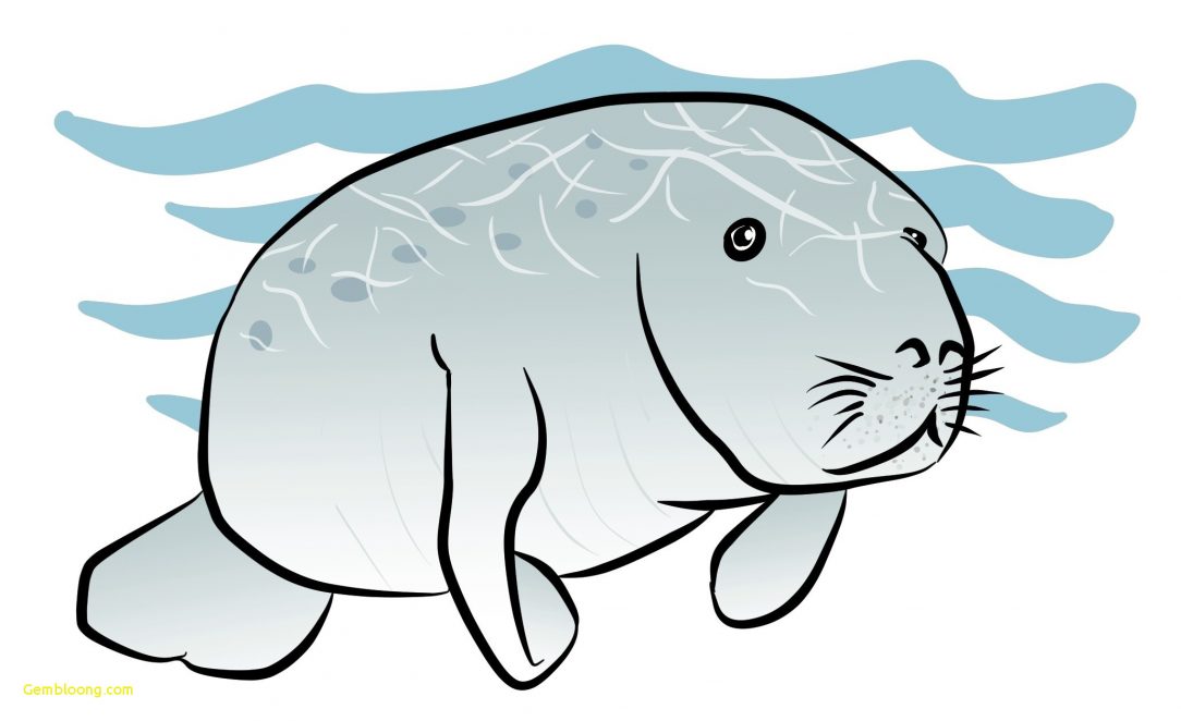 1084x662 Baby Animal Drawings Easy Zoo Mother And Tumblr Sea Etsy Cute