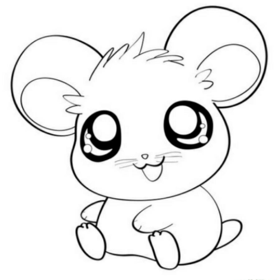 960x960 Cute Baby Animal Coloring Pages