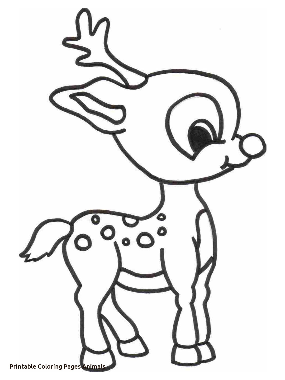 1200x1600 Drawings Of Baby Animals