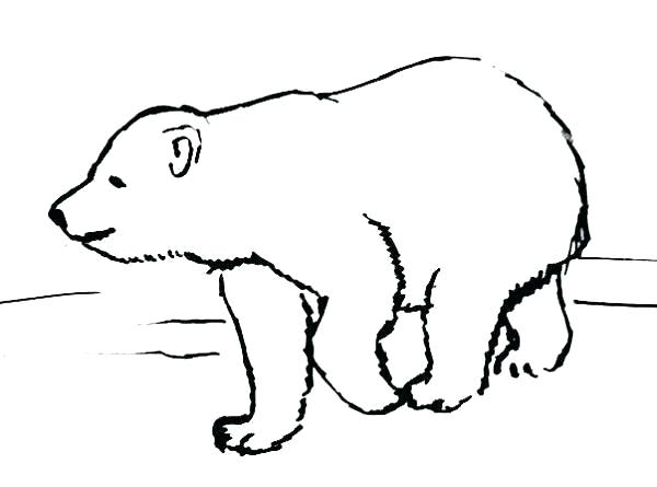 600x445 Cartoon Bear Drawing How To Draw A Cute Little Mini Cartoon Brown