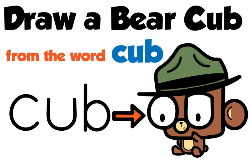 800x524 How To Draw A Baby Bear Archives