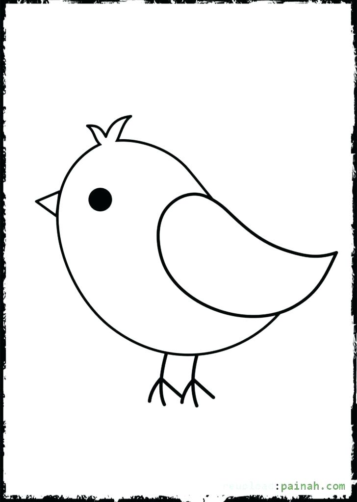 Baby Bird Drawing | Free download on ClipArtMag