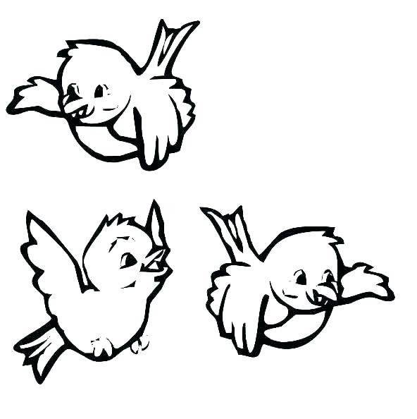 Baby Bird Drawing | Free download on ClipArtMag