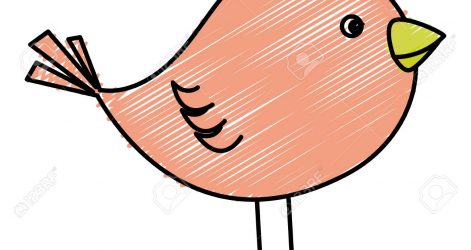 471x250 Simple Cute Bird Drawing Tags Creepy Eye Drawing Country Couple