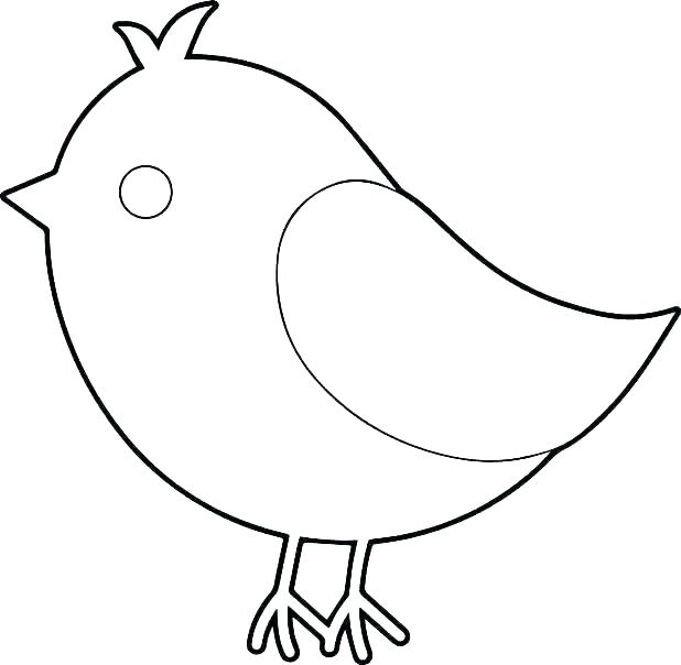 Baby Bird Drawing | Free download on ClipArtMag
