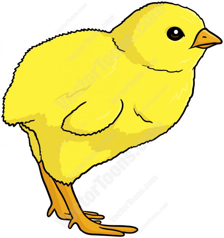 728x773 Simple Baby Chick Drawing How To Make Easy Cartoon Cool Iydunetwork