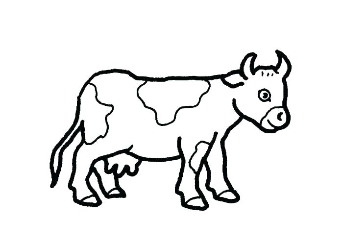 Baby Cow Drawing 