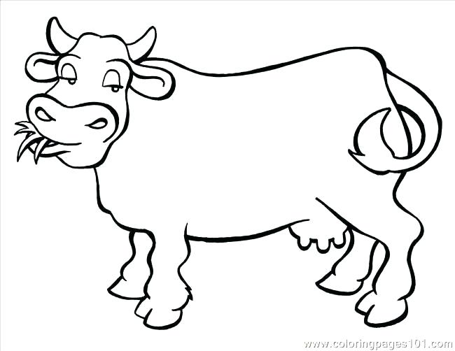 650x502 Coloring Pictures Of Cows Cow Big Coloring