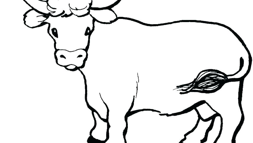 960x544 Cute Baby Cow Coloring Pages Photo Album