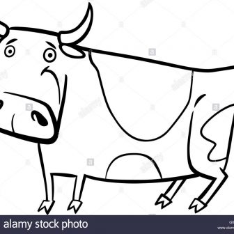 336x336 Baby Cow Cartoon Drawing Easy Cute Milk Step