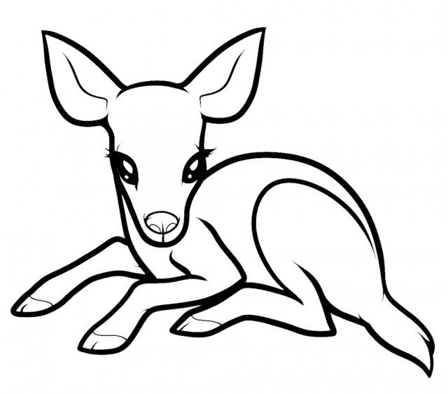 640x563 baby deer coloring pages kris quilt deer coloring pages