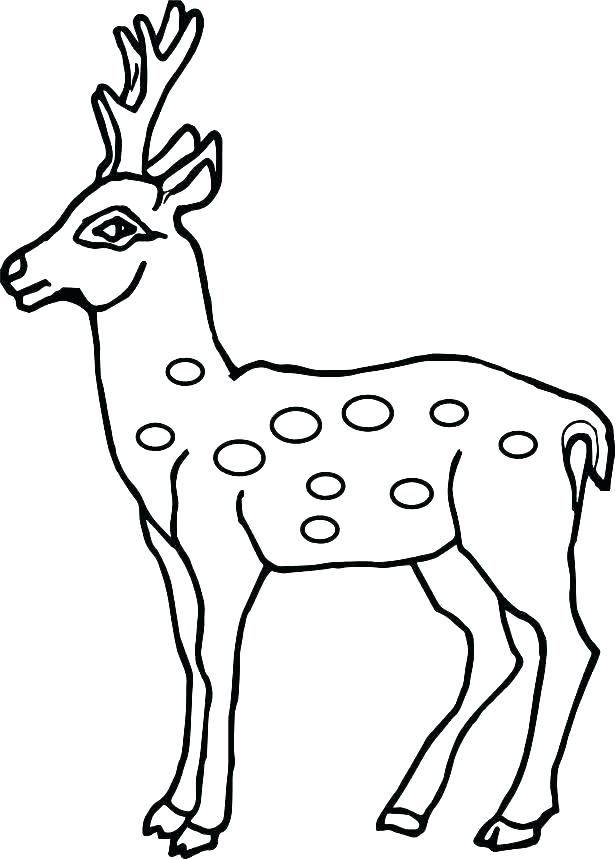 615x859 Coloring Pages Of Baby Deer