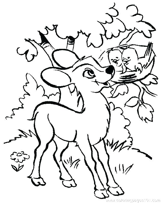 630x794 Baby Deer Coloring Sheets