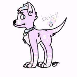 252x250 Baby Dog Adopt