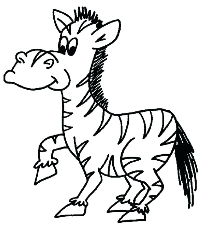 800x897 cute zebra drawing cute baby zebra colouring pages cute baby zebra