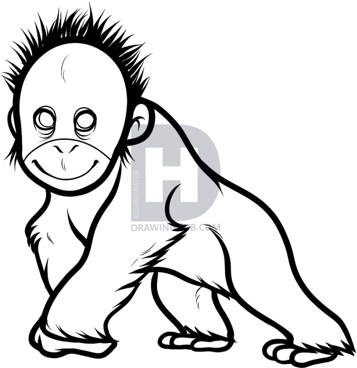 698x720 how to draw a baby orangutan, baby orangutan, step