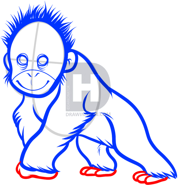 698x720 How To Draw A Baby Orangutan, Baby Orangutan, Step