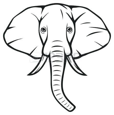 446x450 Elephant Outline Stock Image And Royalty Free Vector