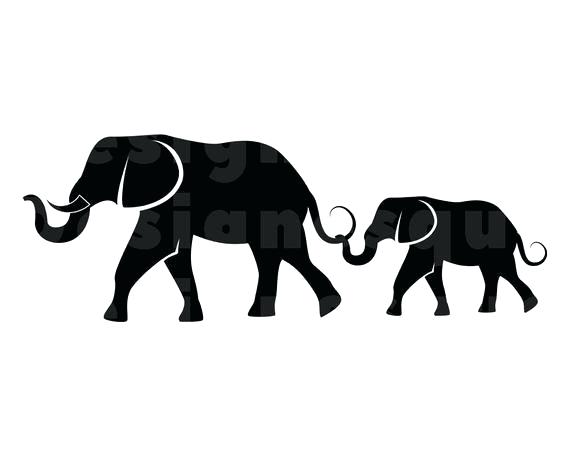 570x456 Photograph Mama And Baby Elephant