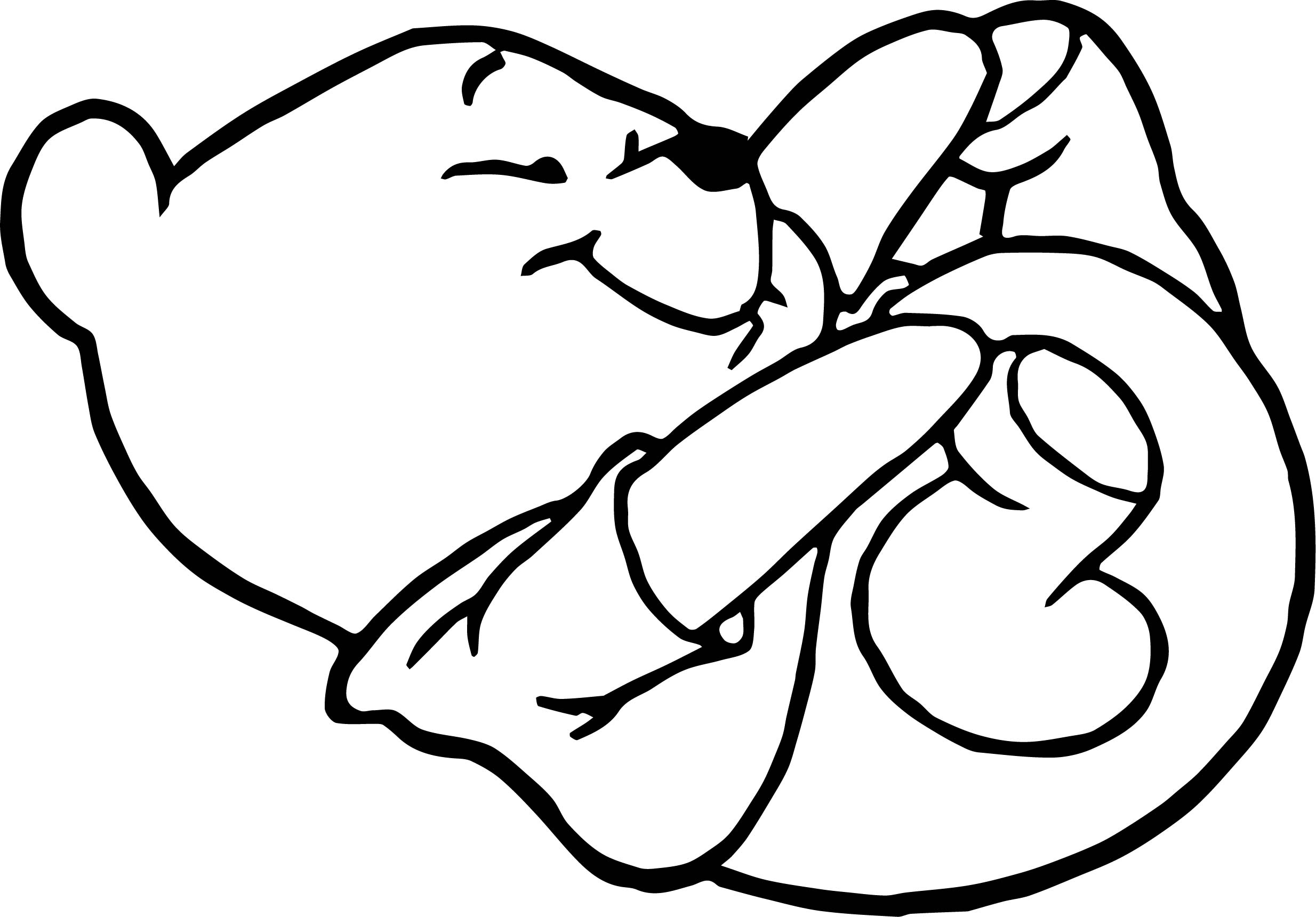 2468x1720 Baby Pooh Little Foot Coloring