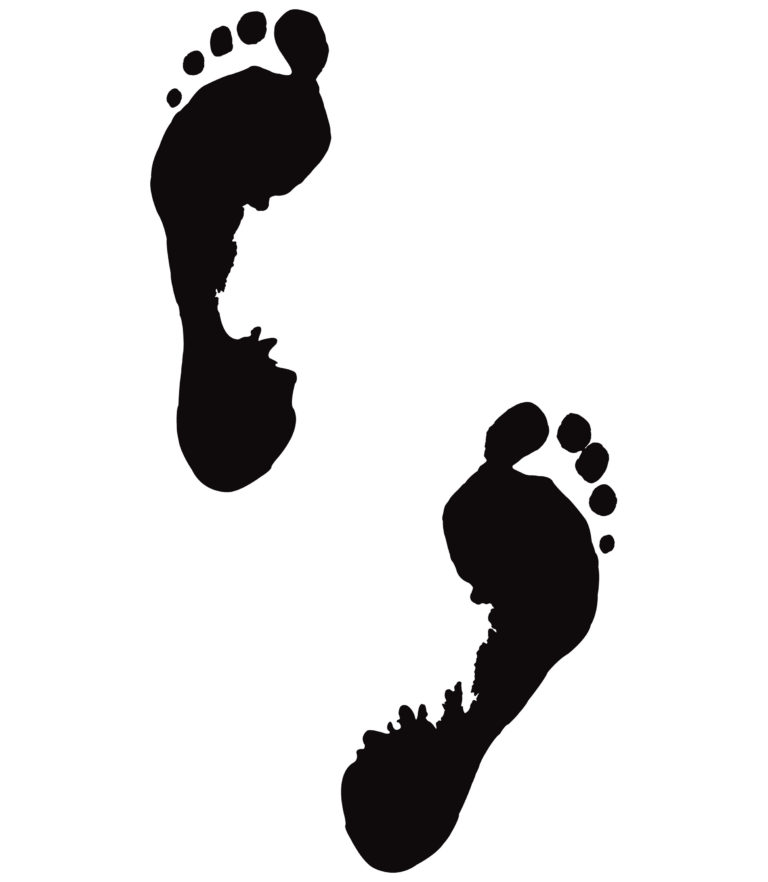 768x882 Photos Of Human Footprints Clip Art Feet Baby