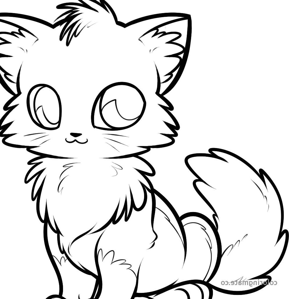 995x1028 Baby Red Fox Clipart Lovely Trendy Online