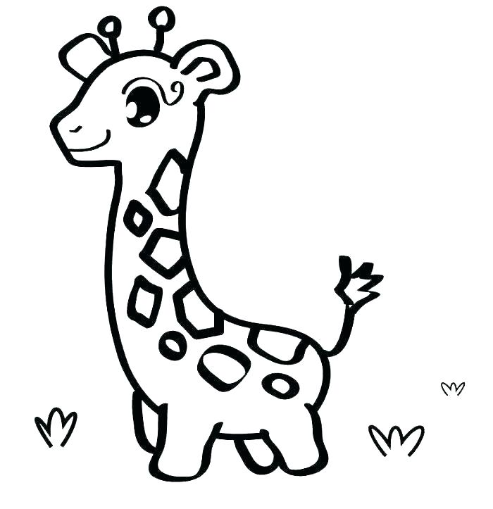 700x723 Coloring Pictures Of Giraffes Of Cartoon Giraffes Save Zoo