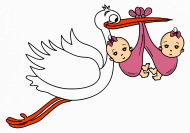 190x133 Stork Baby Twins Babies Girl Iphone Case Spreadshirt