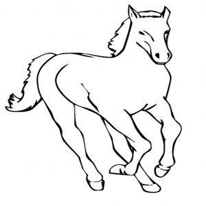 300x300 Coloring Pages Of Baby Horses